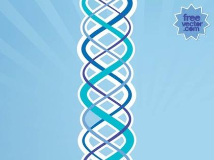 DNA Free Vector