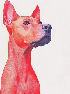 Dog Portrait Illustration