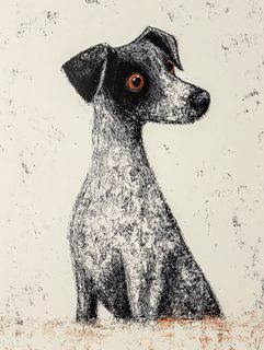 Dog Portrait With Orange Eyes