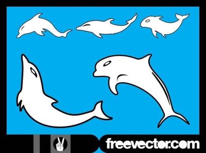 Dolphins Free Vector