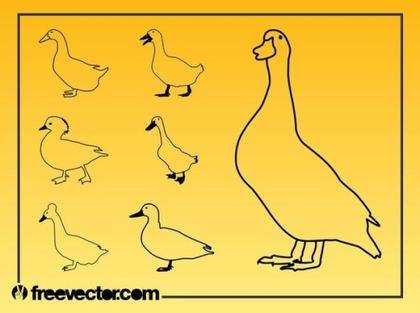 Domestic Geese Free Vector