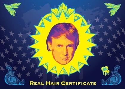 Donald Trump Hair Free Vector
