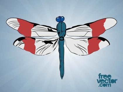 Dragonfly Free Vector