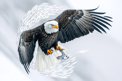 Eagle Catching Fish