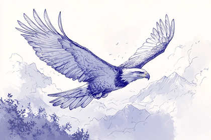 Eagle In Flight Illustration