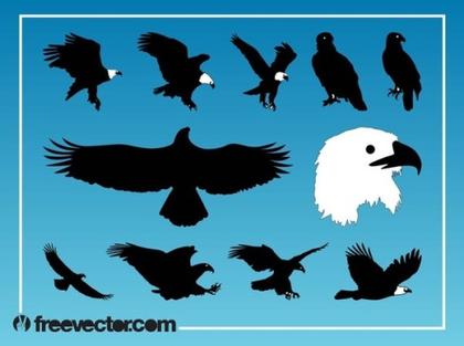 Eagles Free Vector