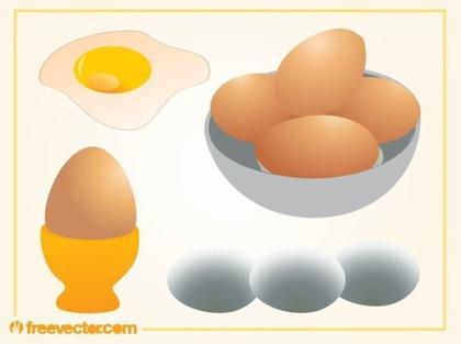 Egg s Free Vector