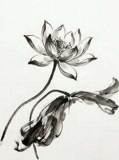 ink lotus blossom