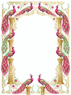 peacock decorative frame