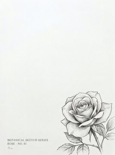 pencil-rose-sketch