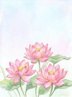 watercolor lotus flowers