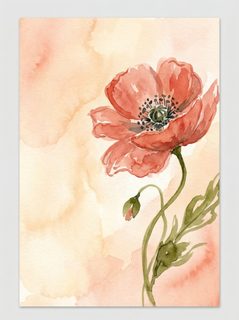 watercolor poppy bloom