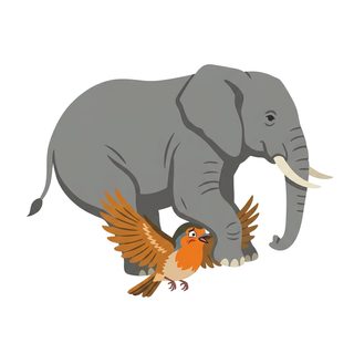 Elephant and Robin