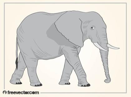 Elephant Free Vector