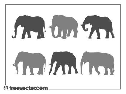 Elephants Silhouette Set Free Vector