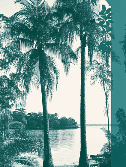 Emerald Palms by the Lake