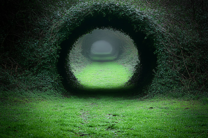 Enchanted Tunnel of Green