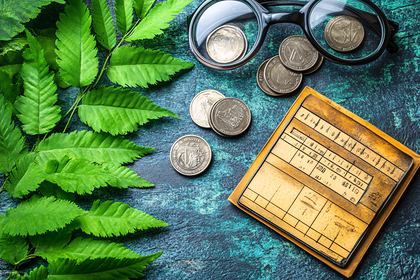 Financial Accounting with Green Leaves