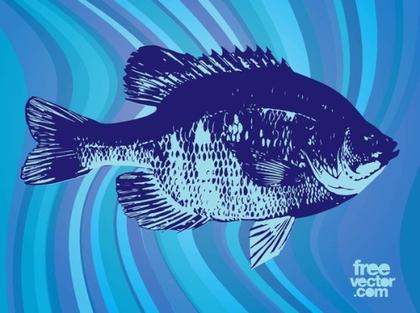 Fish Free Vector