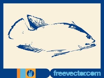 Fish Sketch Free Vector