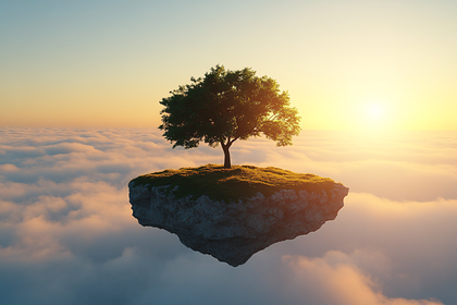 Floating Island Tree Sunset