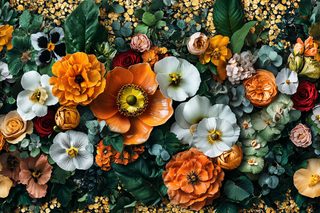 Floral Abundance
