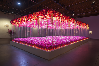 Floral Canopy Installation