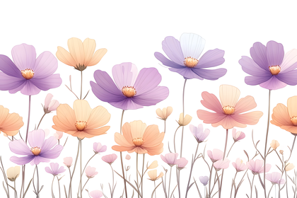 Floral Cosmos Border