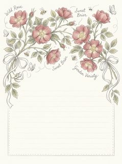 Floral Stationery With Wild Roses And Butterflies