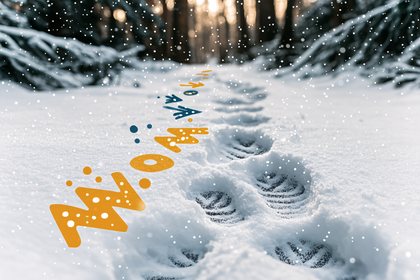 Footprints In Snow With Arrows And Text