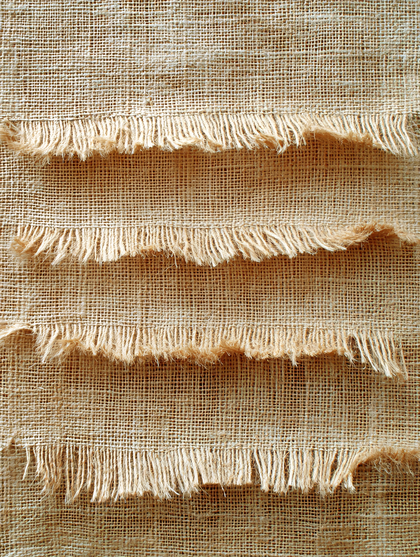 Frayed Burlap Fabric Texture