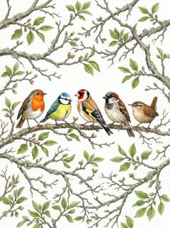 garden birds illustration