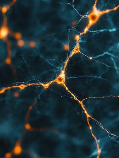 Glowing Neural Network