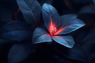 Glowing Veins Plant