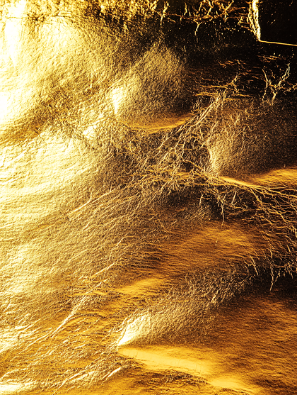 Gold Leaf Texture