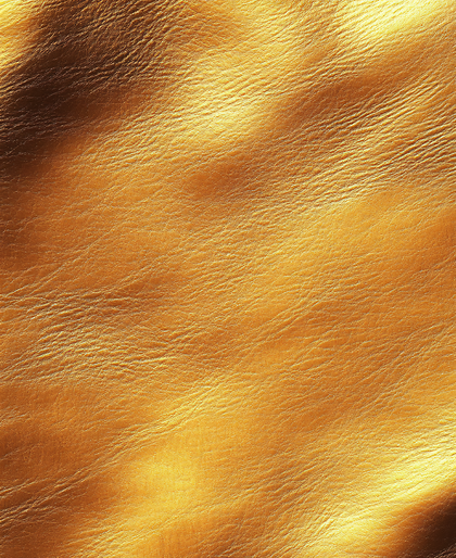 Gold Leather Texture
