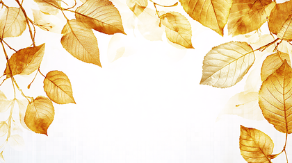 Golden Autumn Leaves