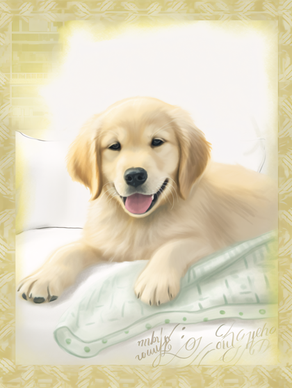 Golden Retriever Puppy Portrait