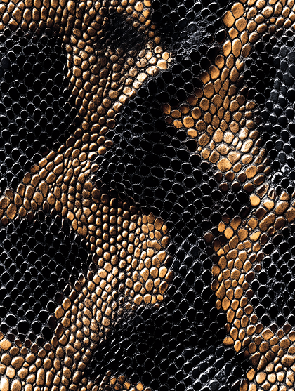 2 Fashion Texture | Free Vectors, Photos, Artwork Images | 123Freevectors