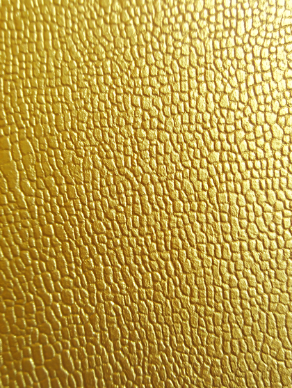 Golden Textured Surface