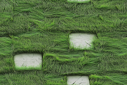 Grass and Stone Texture