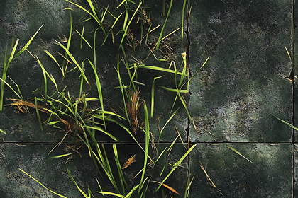 Grass Blades on Stone Tiles