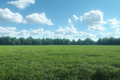 Green Field Under Blue Sky