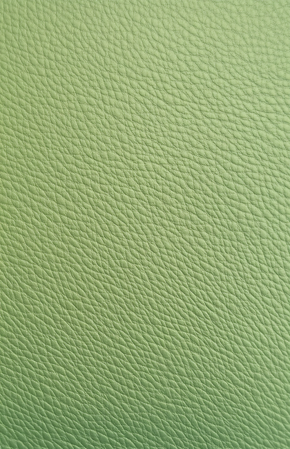 Green Leather Texture