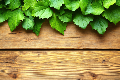 Green Leaves On Wood