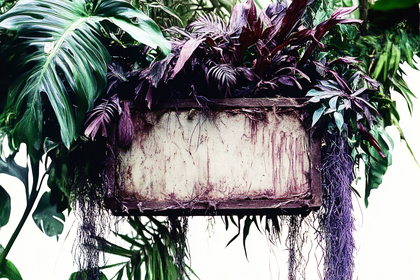 Greenery-Framed Sign