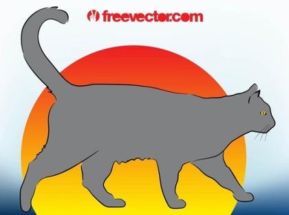 Grey Cat Free Vector