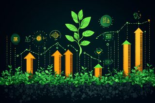 Growing Investment Graph