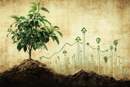 Growing Investment