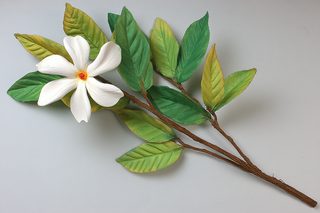 magnolia-paper-craft